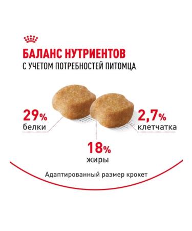 ROYAL CANIN Dry food for elderly dogs of the breed Yorkshire Terrier 1.5 kg - Buy Online on GoSupps.com