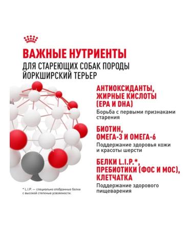 ROYAL CANIN Dry food for elderly dogs of the breed Yorkshire Terrier 1.5 kg - Buy Online on GoSupps.com