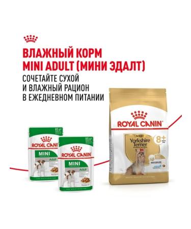 ROYAL CANIN Dry food for elderly dogs of the breed Yorkshire Terrier 1.5 kg - Buy Online on GoSupps.com