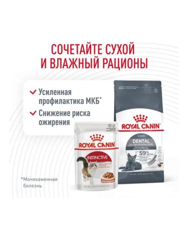 ROYAL CANIN Dantal Care Dry Feed for Cats 1.5 kg - Buy Online on GoSupps.com