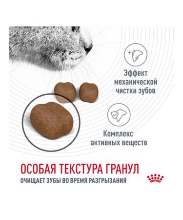 ROYAL CANIN Dantal Care Dry Feed for Cats 1.5 kg - Buy Online on GoSupps.com