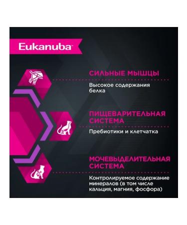 Eukanuba Wet food for kittens with chicken 85g x 24pcs - Buy Online on GoSupps.com