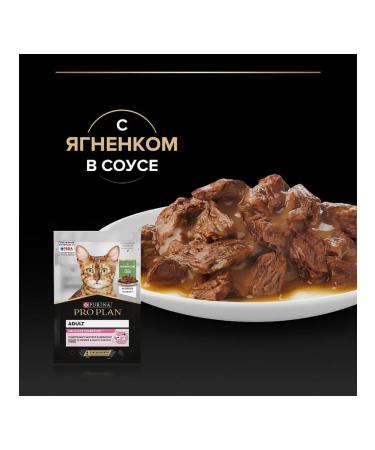 PRO PLAN Wet food for cats Delicate lamb in sauce 85g x 26pcs - Buy Online on GoSupps.com