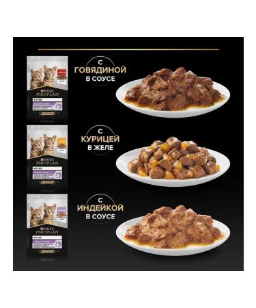 PRO PLAN Wet feed for kittens assorted tastes 85g x 10pcs - Buy Online on GoSupps.com