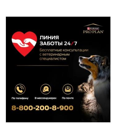 PRO PLAN Wet food for dogs of small breeds duck in sauce 85g x 26pcs - Buy Online on GoSupps.com