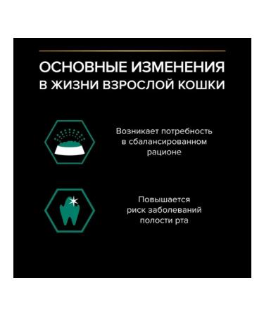 PRO PLAN Wet food for cats pieces of beef in sauce 85g x 26pcs - Buy Online on GoSupps.com