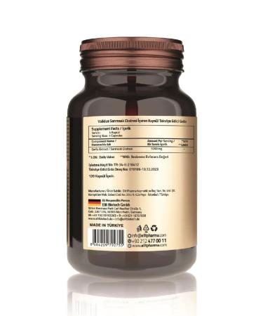 Validus Garlic extract 3200 mg 120 capsules - Buy Online on GoSupps.com