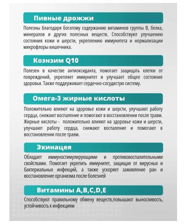 PetActive Vitamins12 V 1 for adult dogs of all breeds 100 tablets - Buy Online on GoSupps.com