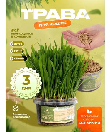 AgroBOOST Set for growing grass for cats oatmeal