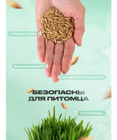 AgroBOOST Set for growing grass for cats oatmeal - Buy Online on GoSupps.com