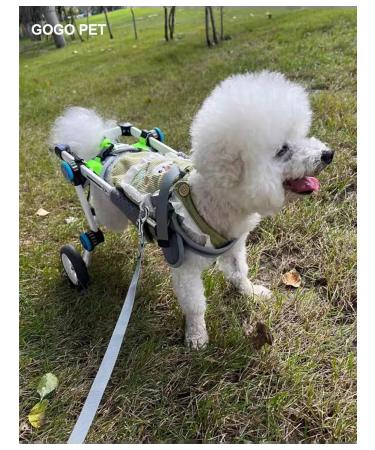 PawHaven Folding wheelchair for dogs and cats XS - Buy Online on GoSupps.com