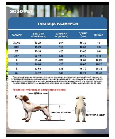 PawHaven Folding wheelchair for dogs and cats s - Buy Online on GoSupps.com