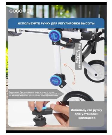 PawHaven Folding wheelchair for dogs and cats s - Buy Online on GoSupps.com