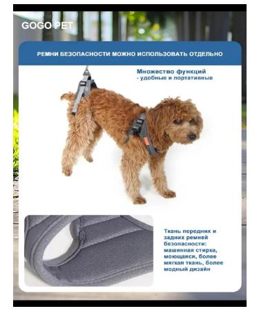 PawHaven Folding wheelchair for dogs and cats s - Buy Online on GoSupps.com