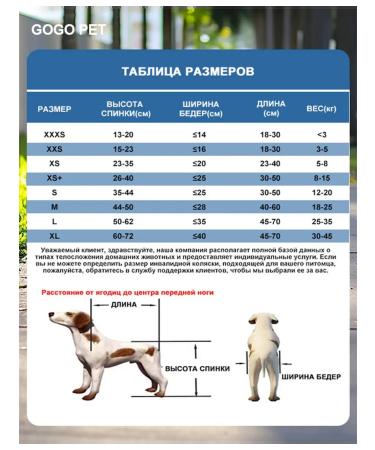 PawHaven Folding wheelchair for dogs and cats m - Buy Online on GoSupps.com