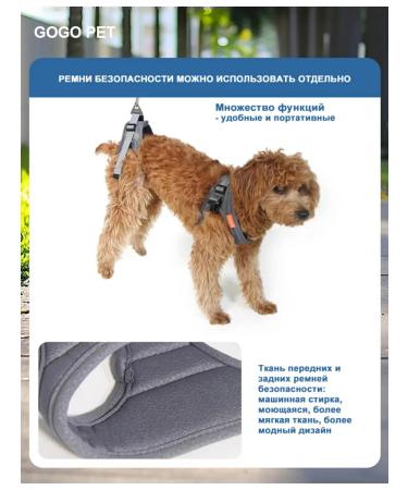 PawHaven Folding wheelchair for dogs and cats m - Buy Online on GoSupps.com