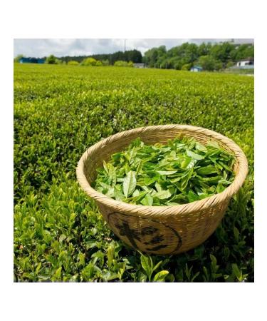THAI NGUYEN Green Vietnamese tea 100 g 3 pcs - Buy Online on GoSupps.com