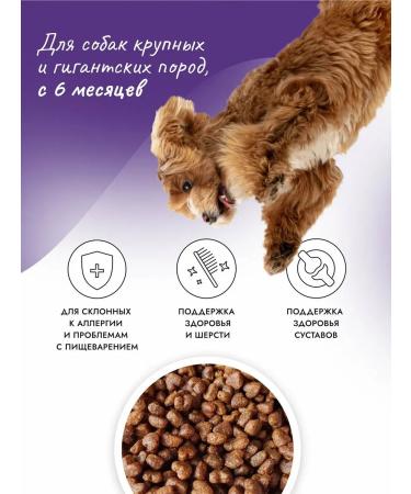 Best Dinner Maxi food for large dogs with lamb and apple 12 kg - Buy Online on GoSupps.com