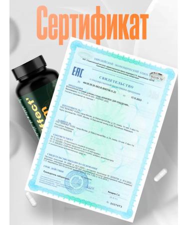 Effect Slim Fat burner 60 capsules are effective for men and women - Buy Online on GoSupps.com