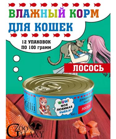 Zillii Wet food for cats with salmon 12x100g