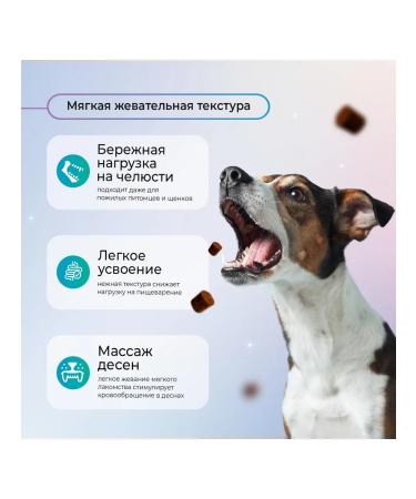 Favet A treat for immunity for dogs 120g - Buy Online on GoSupps.com