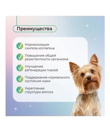 Favet a treat for skin and hair for dogs 120g - Buy Online on GoSupps.com