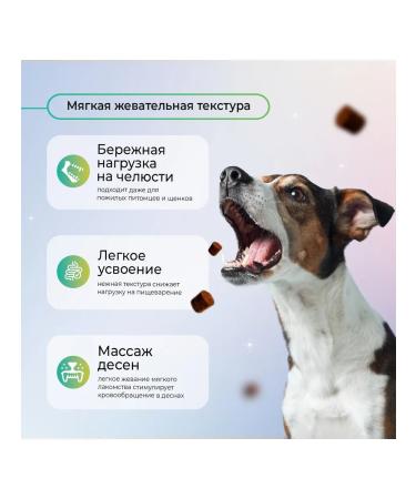 Favet a treat for skin and hair for dogs 120g - Buy Online on GoSupps.com