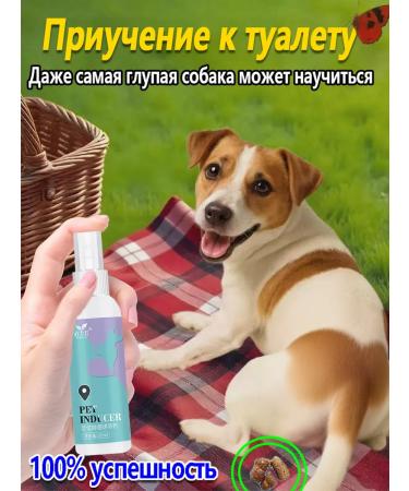 Spray for teaching to the toilet of dogs 120 ml