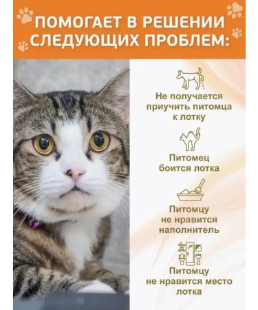 Spray for teaching to the toilet of dogs 120 ml - Buy Online on GoSupps.com