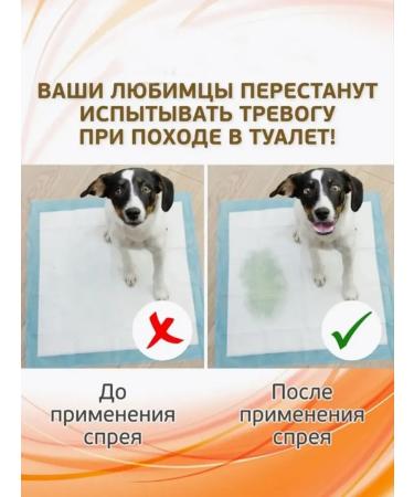 Spray for teaching to the toilet of dogs 120 ml - Buy Online on GoSupps.com