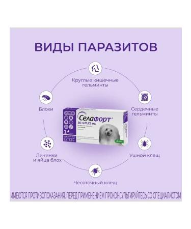 KRKA Sealess 30 mg for dogs weighing 2.6 to 5 kg - Buy Online on GoSupps.com