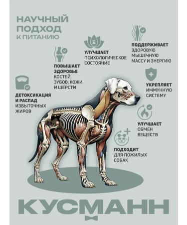 KUSMANN Hypoallergenic single-protein fish and rice dog food 5 kg - Buy Online on GoSupps.com