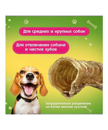 Pets Dog treating beef trachea 15 20 cm 90 g - Buy Online on GoSupps.com