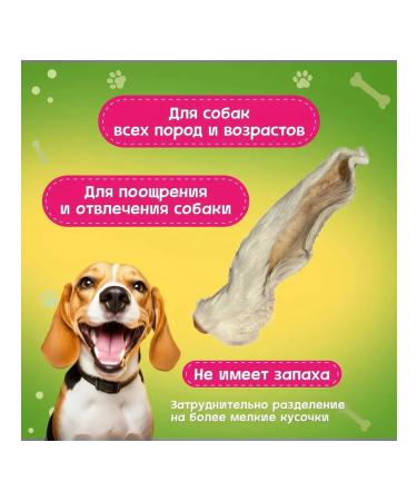 Pets Dog treating rabbit ears 10 pcs 80-110 g - Buy Online on GoSupps.com