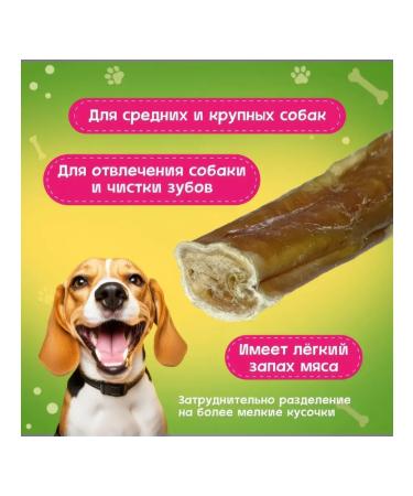 Pets Dog treating bull root 20 cm 100 g - Buy Online on GoSupps.com