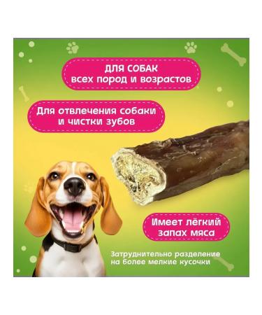 Pets Dog treating bull root 10 cm 45 g - Buy Online on GoSupps.com