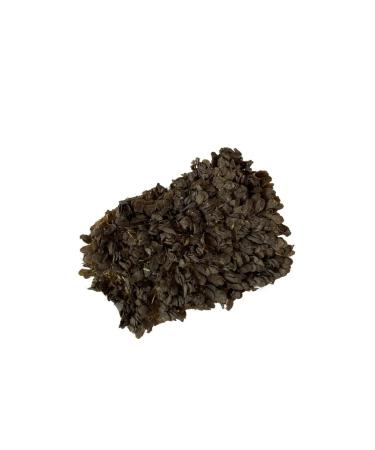 Pets Dog treating beef scar 90 g - Buy Online on GoSupps.com