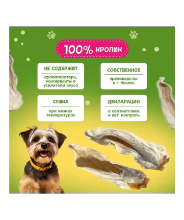 Pets Dog treating rabbit ears 4 pcs 40-45 g - Buy Online on GoSupps.com