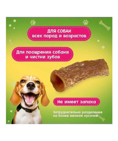 Pets A treat for dogs aorta beef 45 g - Buy Online on GoSupps.com
