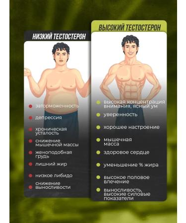 Balace MEGA ECDYSTERONE 3000 Testosterone for men for sports - Buy Online on GoSupps.com