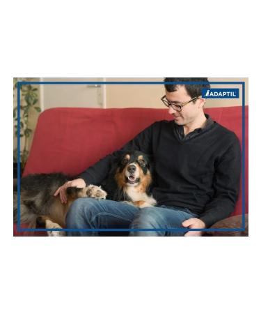 Ceva Pheromones adapted to correct the behavior of dogs a replaced block - Buy Online on GoSupps.com