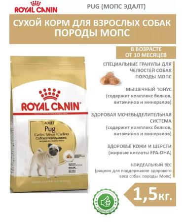 ROYAL CANIN Dog food for dry pug pug adult 1.5 kg