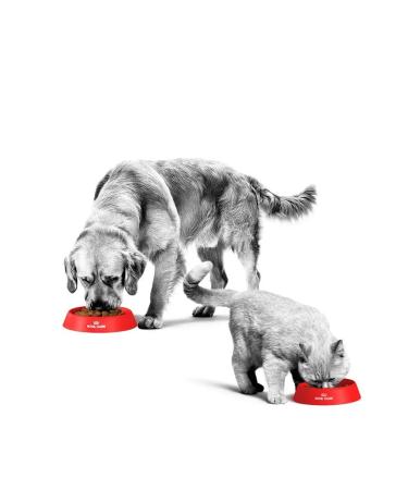 ROYAL CANIN Dry food for puppies Yorkshire Pappy Terrier 1.5 kg - Buy Online on GoSupps.com