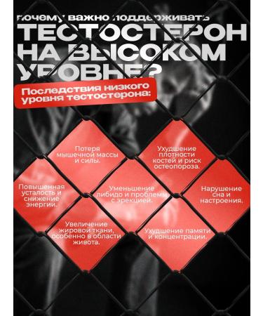 Balace ECDYSTERONE-C Testosterone for sports in capsules - Buy Online on GoSupps.com