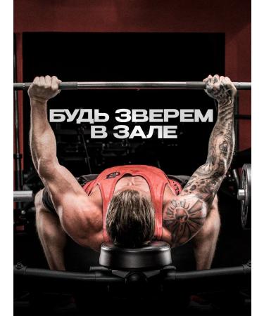 Balace ECDYSTERONE-C Testosterone for sports in capsules - Buy Online on GoSupps.com