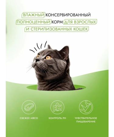Best Dinner Holistic food for cats chicken and algae 75 g - Buy Online on GoSupps.com