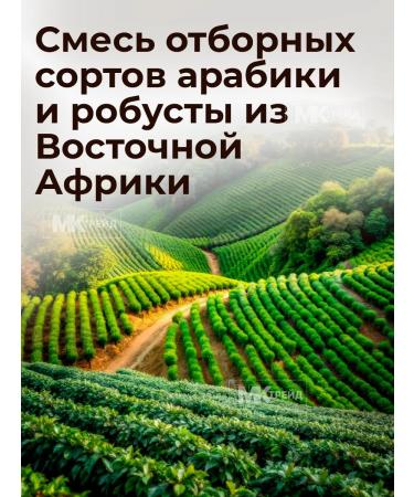 dallmayr Coffee in grains 1 kg Crema d'Ooro Selektion 100% arabica - Buy Online on GoSupps.com