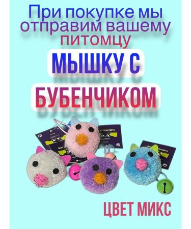 Alleva Dry food Holistic Chicken Duck for cats 1.5 kg - Buy Online on GoSupps.com