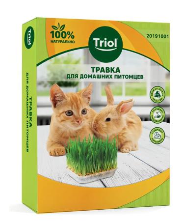 Triol grass for cats and pets 1 pc - Buy Online on GoSupps.com