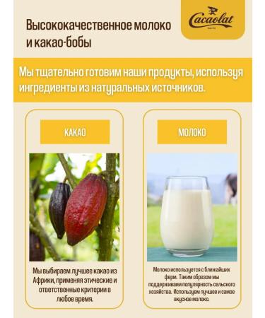 Nesquik Cacaolat cocoa Drink Milk 4 pcs - Buy Online on GoSupps.com